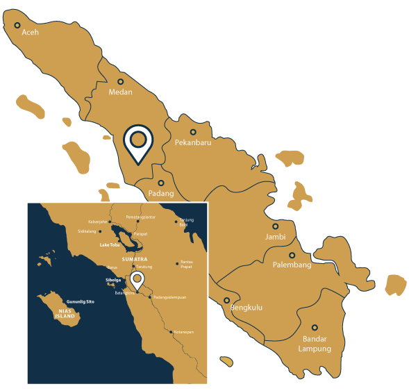 Tailing Storage Facility Monitoring at Martabe Gold Mine, Indonesia